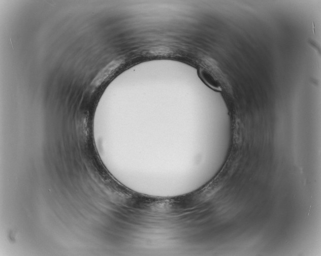 X0000102230116200808151739