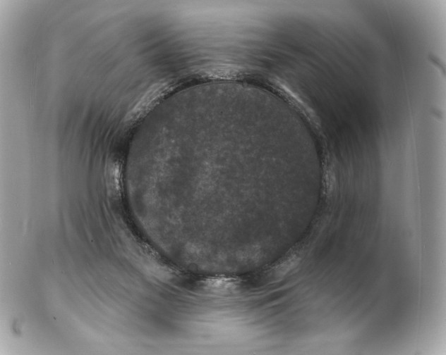 X0000102230117200808151739