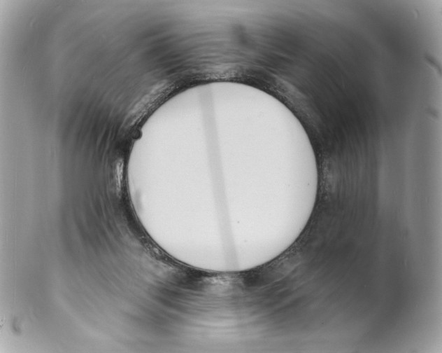 X0000102230118200808151739