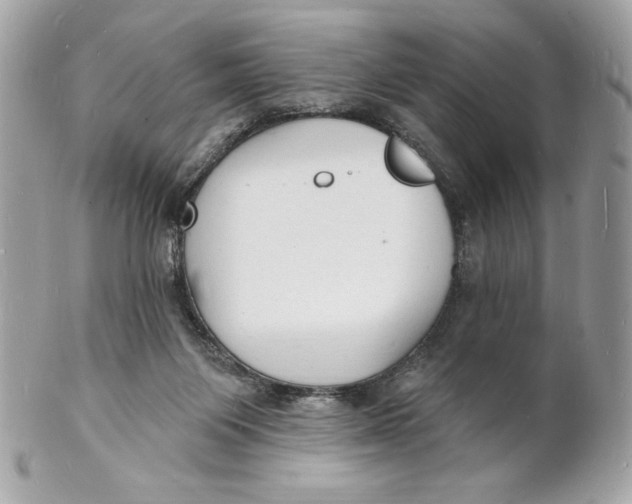 X0000102230119200808151739