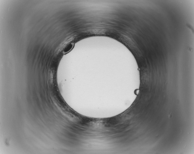 X0000102230120200808151739