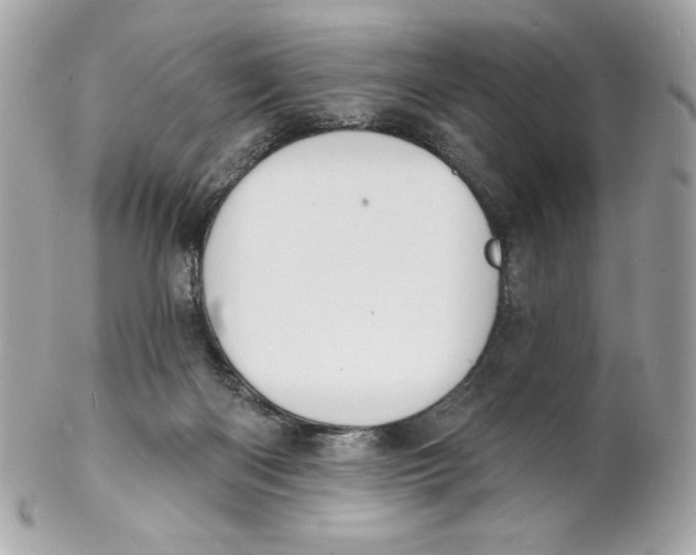 X0000102230122200808151739