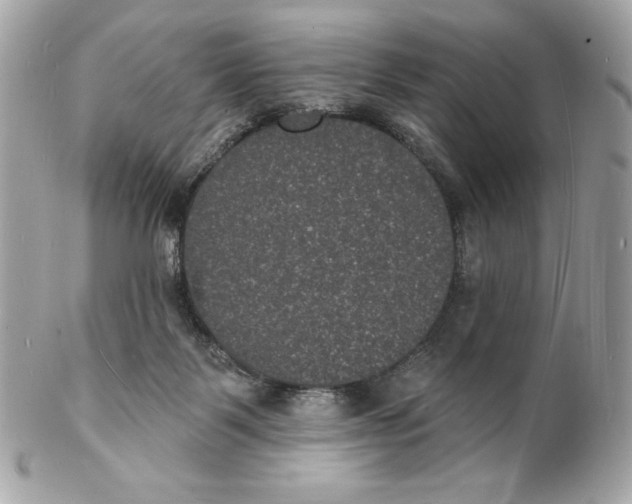 X0000102230123200808151739