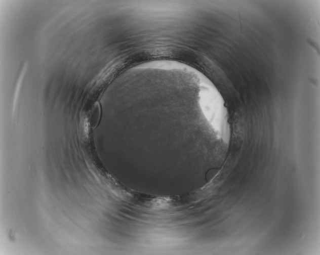 X0000102230124200808151739
