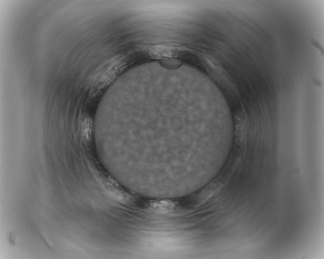 X0000102230125200808151739