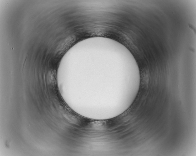 X0000102230126200808151739