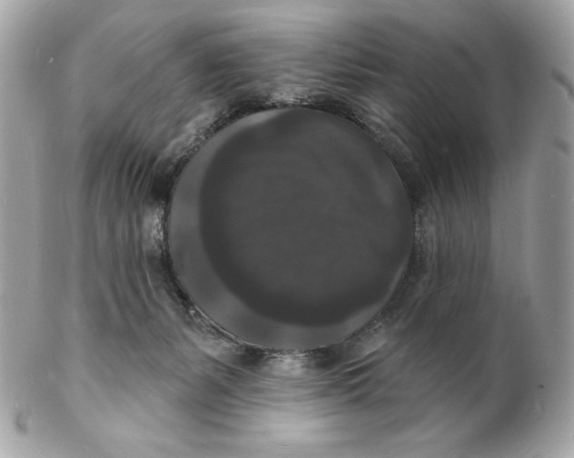X0000102230127200808151739