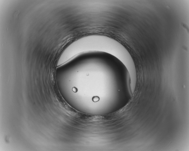 X0000102230128200808151739