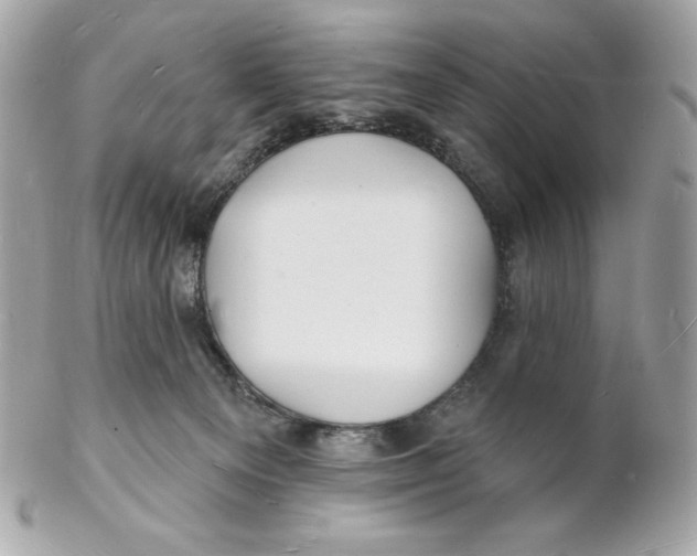 X0000102230129200808151739