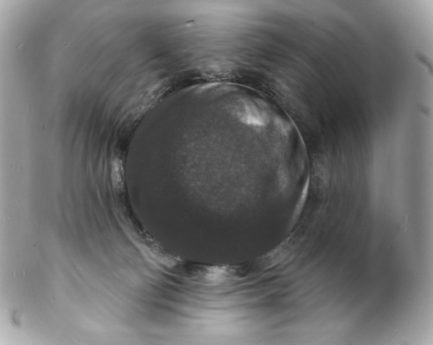 X0000102230130200808151739