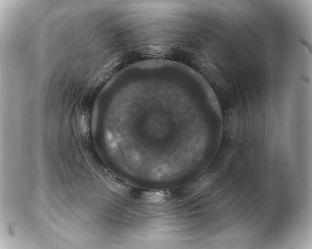 X0000102230131200808151739