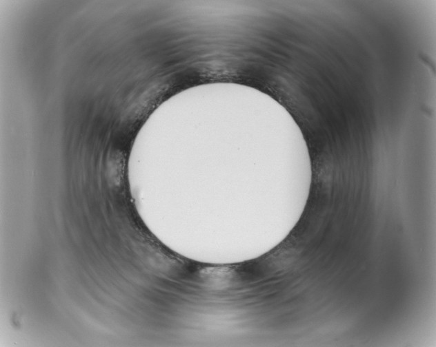 X0000102230133200808151739