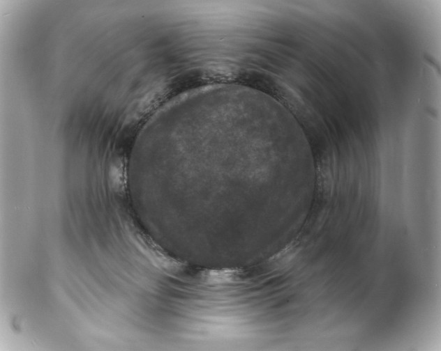 X0000102230134200808151739