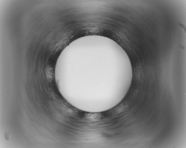 X0000102230135200808151739