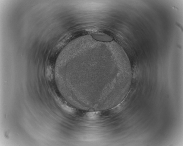 X0000102230136200808151739