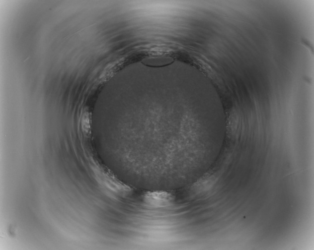 X0000102230137200808151739