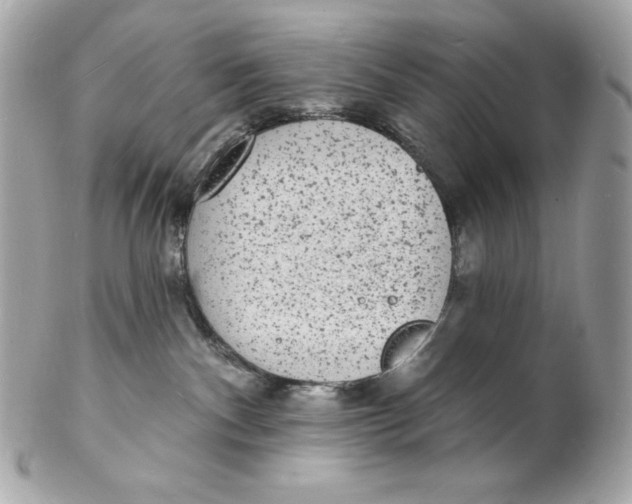 X0000102230140200808151738