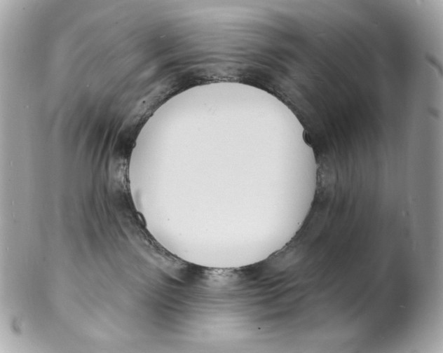 X0000102230141200808151738