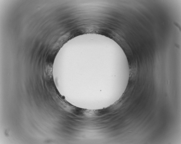 X0000102230142200808151738