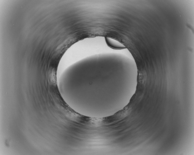 X0000102230143200808151738