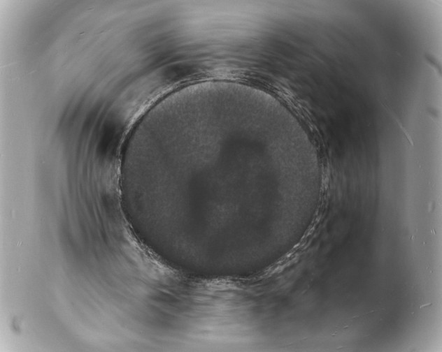 X0000102230146200808151738