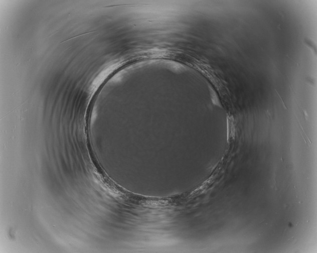 X0000102230147200808151738