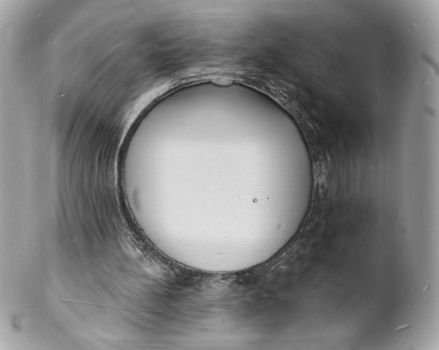 X0000102230148200808151738