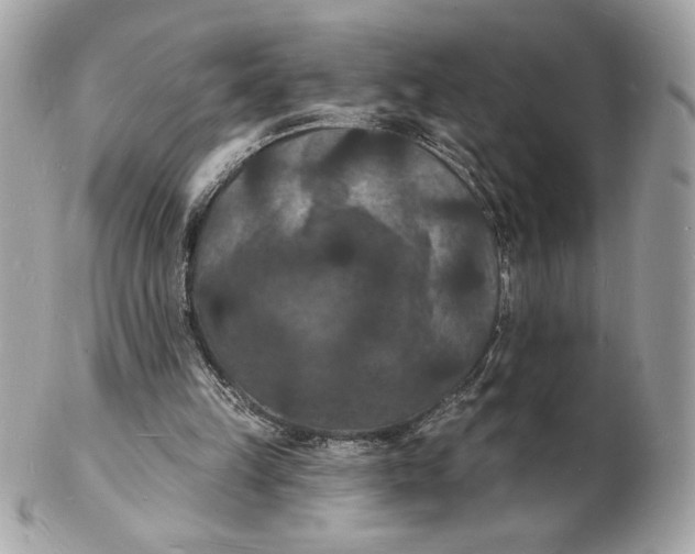 X0000102230149200808151738