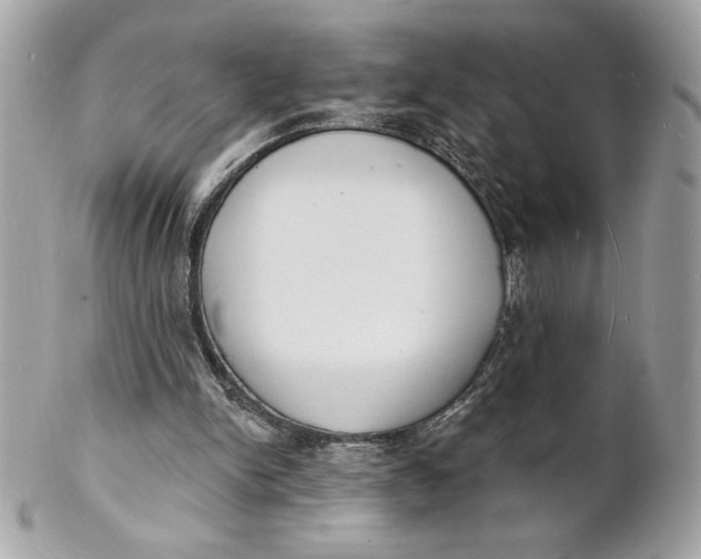 X0000102230150200808151738