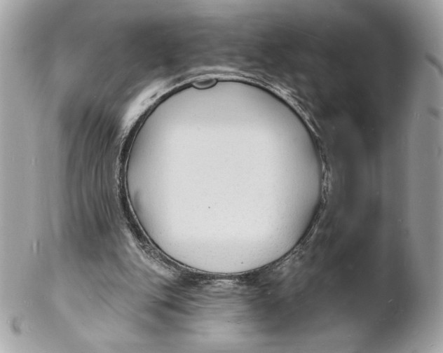 X0000102230151200808151738