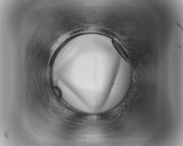 X0000102230152200808151738