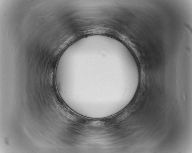 X0000102230153200808151738