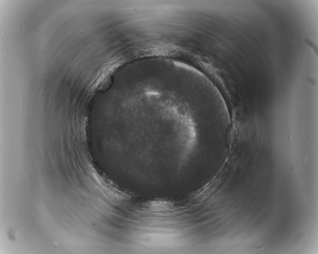 X0000102230154200808151738