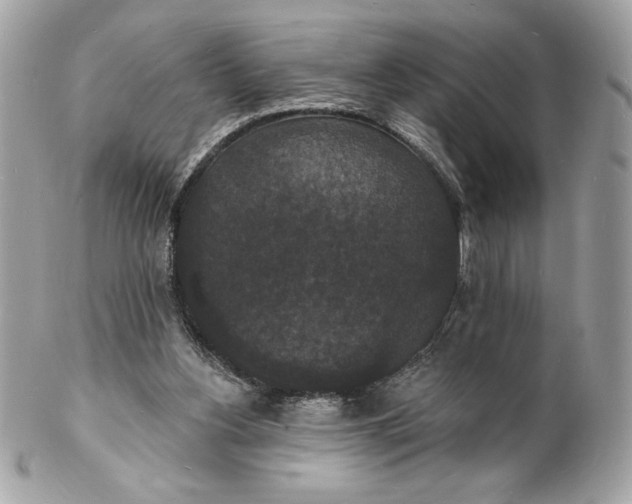 X0000102230156200808151738