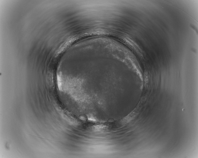 X0000102230158200808151738
