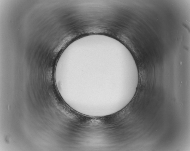 X0000102230159200808151738