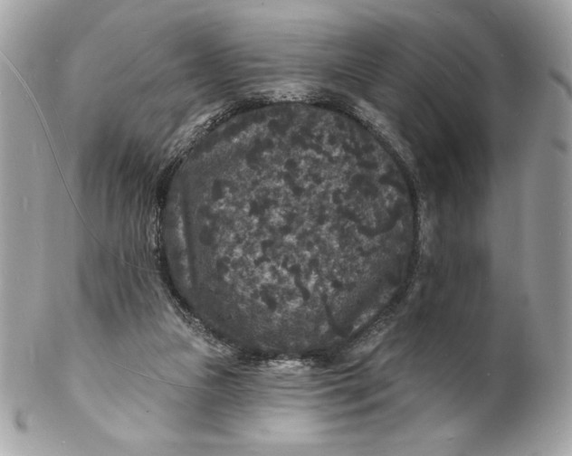 X0000102230161200808151738