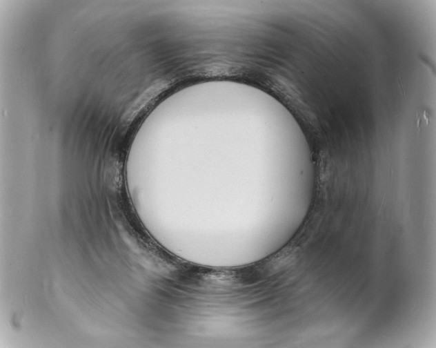 X0000102230164200808151738