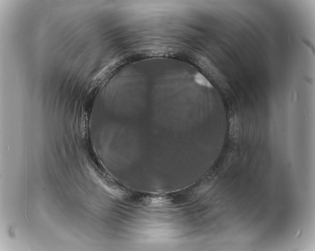 X0000102230165200808151738