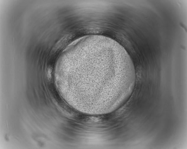 X0000102230166200808151738