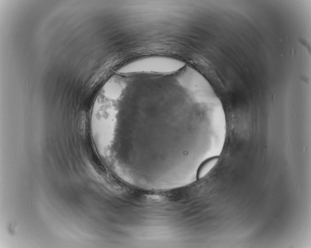 X0000102230167200808151738
