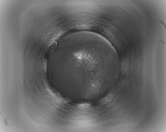 X0000102230168200808151738