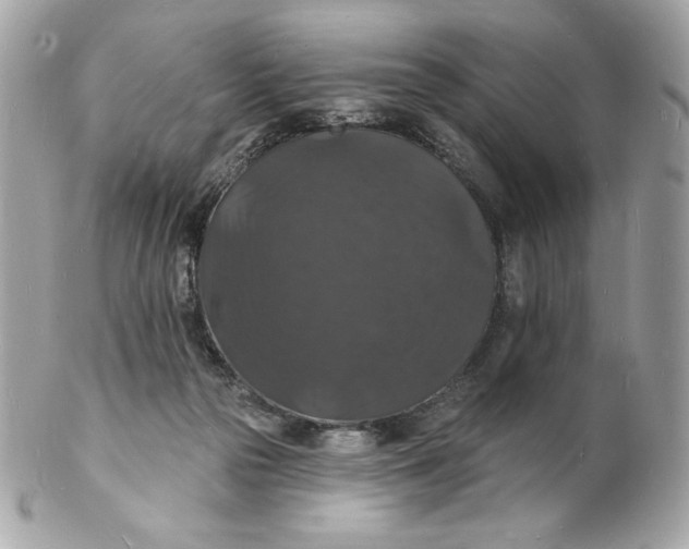 X0000102230169200808151738