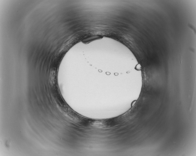 X0000102230171200808151738