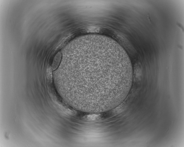 X0000102230172200808151738