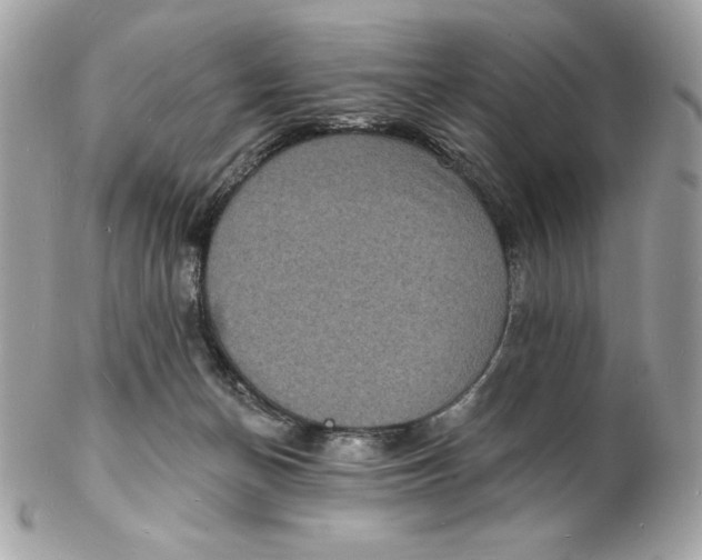 X0000102230174200808151738