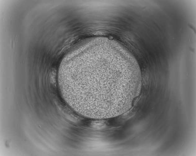 X0000102230175200808151738