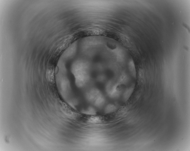 X0000102230177200808151738