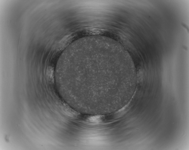 X0000102230178200808151738