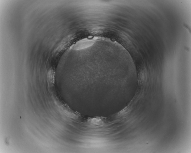 X0000102230180200808151738